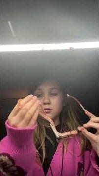 three things about corn snakes you probably didn’t know