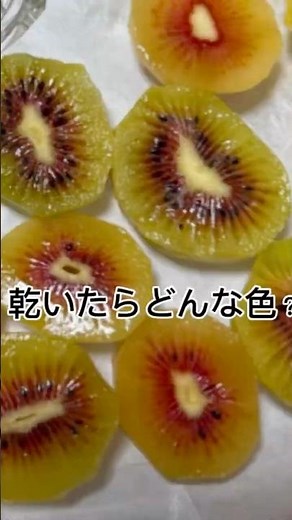 乾いたらどうなる？キウイとさつまいもをドライにしてみた