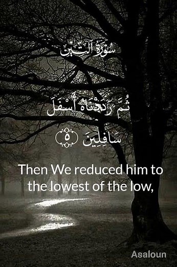 Surah At-Tin (95) | سورة التين | Beautiful Recitation with English Translation