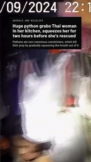 Python constricts Thai woman for 2 HOURS