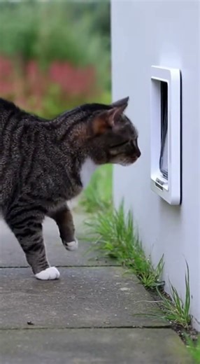 He opened it like it’s nothing🥰🥰🥰 secret unboxing revealed #unboxing #surprise #viral