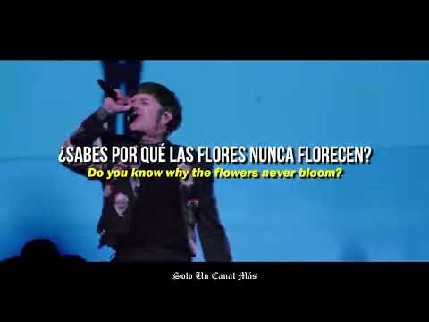 Bring Me The Horizon - Ludens Live In Tokyo | Sub. Español & Lyrics