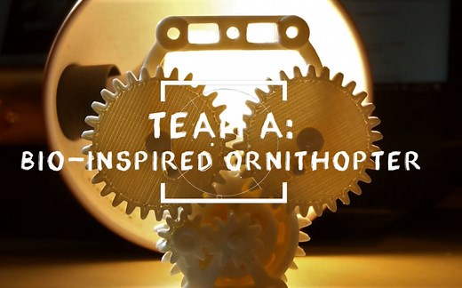 【技术向】【手工】仿生扑翼飞行器设计 Bio-inspired Ornihopter