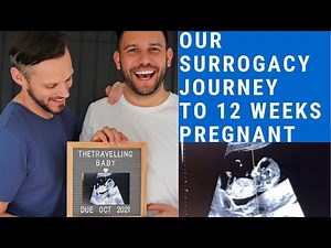 Gay couple surrogacy journey | embryo creation to IVF to 12 week ultrasound