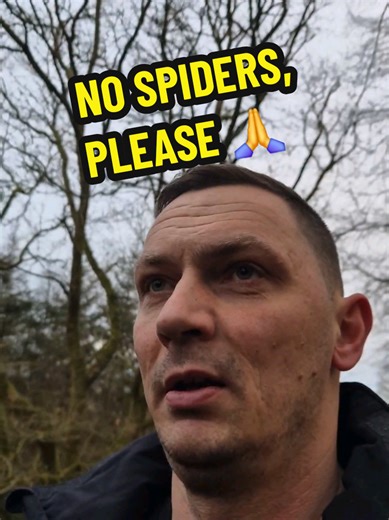 Discover the Beauty of Scotland Without the Creepy Crawlers