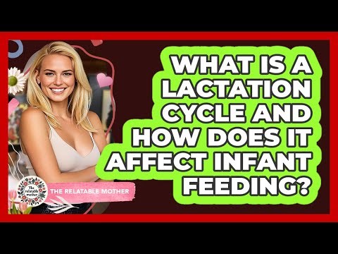What Is A Lactation Cycle And How Does It Affect Infant Feeding? - The Relatable Mother