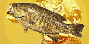 All You Need to Know About Sturgeon Bay’s Sensational Smallmouth - Major League Fishing