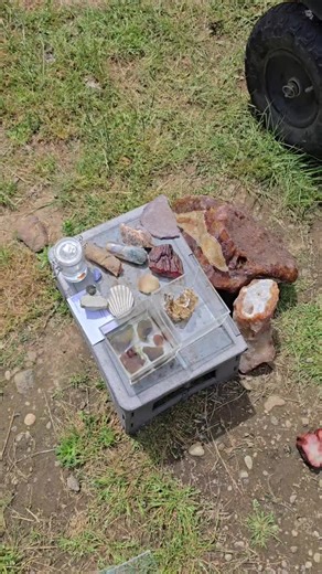 Descubriendo Minerales Raros de Oregón y Washington