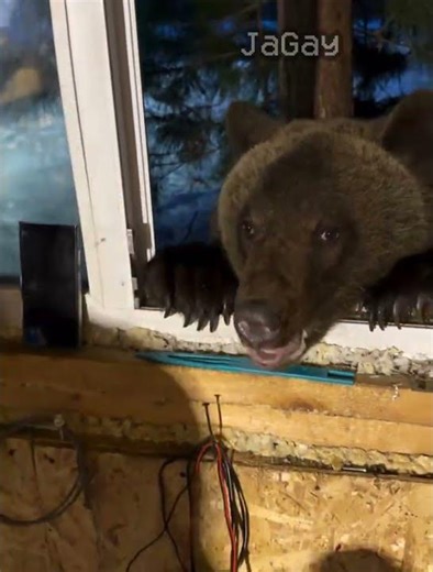 half life (1.0.3) (no effort) #halflife #halflife1 #shorts