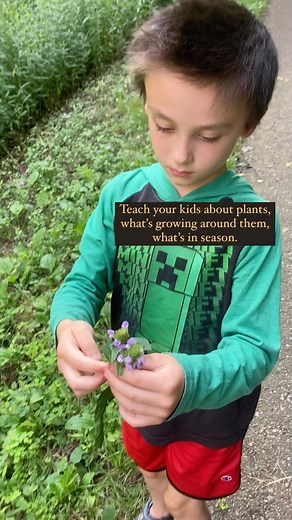 248 reactions · 54 shares | Take your kids out foraging  Get them...