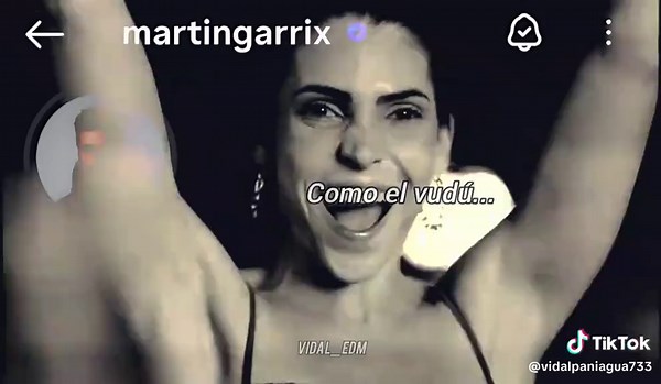 Martin Garrix, R3HAB, Skytech - Voodoo Collaboration