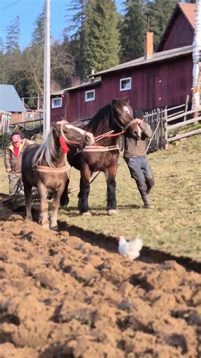 Orest Oblesniuc on Reels