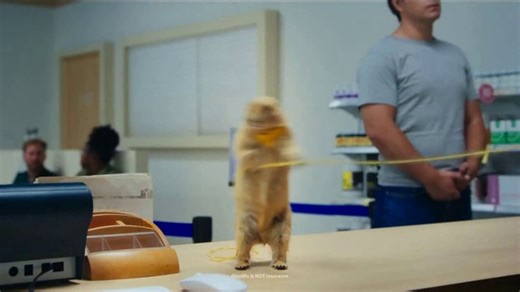 GoodRx TV Spot, 'Save You a Wagon-Load'