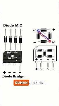 How an amplifier works