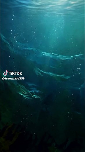 Experience Deep Sleep with Calming Whale Sounds