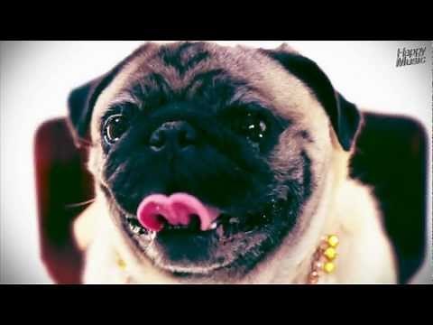 Jack Holiday & Mike Candys - The Riddle Anthem (Official Video)