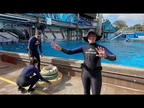 Trua's 17th Birthday | Killer Whale Up Close (Full Tour) SeaWorld Orlando 4K (11-23-22)
