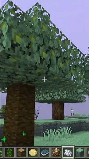 เอาต้นไม้ Aether ไปปลูกในโลกปกติ ได้ หรือ ไม่?