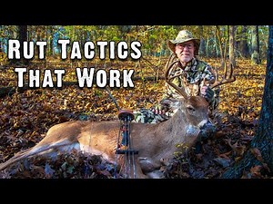 3 Things That Put You on Rutting Bucks Every Time