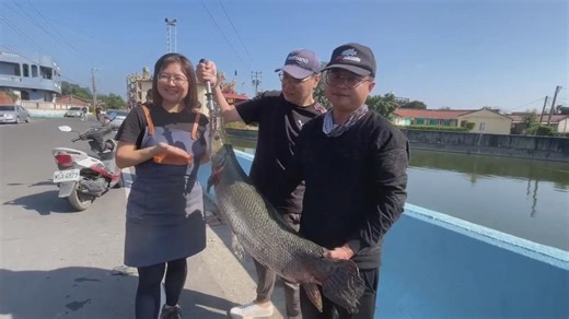 "鱷雀鱔"狂吃池塘魚! 咖啡店徵釣手 釣到請1個月喝咖啡