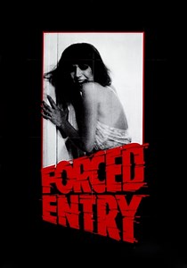 Entrada Forzada - película: Ver online en español