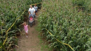 Where to find the best corn mazes in Maryland and Northern Virginia this fall