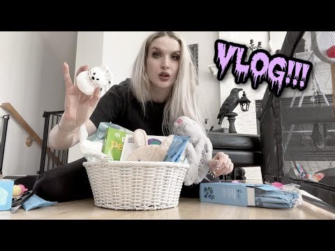 ANOTHER SPRING VLOG! Easter Bunny Visit, Grocery Shopping, & More Randomness!!