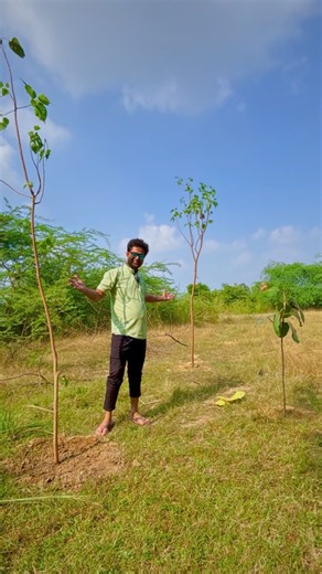 Yes, we are planting trees as a donation. / tree plantation with your name. #greenindia