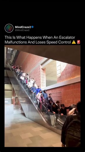 MindCraze | “This escalator turned into a runaway machine in seconds.” What started as a normal ride instantly became panic. At a university in... | Instagram