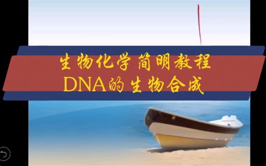 生物化学简明教程 DNA的生物合成