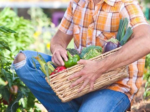 5 Disadvantages Of Organic Farming: Is It Worth It? - The Small Town Homestead
