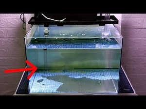 How To Hide Water Pump For Top Filter With Mechanical Filtration