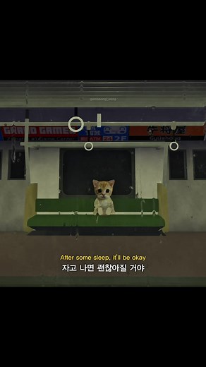 잔나비 - 꿈과 책과 힘과 벽 감정의 여정