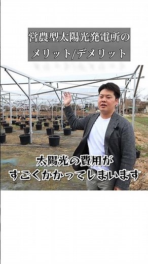 営農型太陽光発電所のメリット・デメリットは？#太陽光 #太陽光発電 #農業