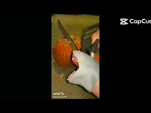 Shark Puppet Screaming Sparta Roar Remix