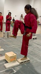 Power Karate Martial Arts Tournament Board Breaking #karate #martialarts #taekwondo #aok #brucelee #sports | Point Fighter Live