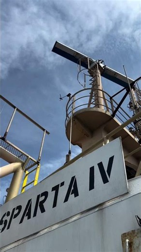 merchant navy|navy status|shorts video #lifeatsea #ship #trending #sailorlife #maritimelife