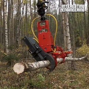 132K views · 684 reactions | Meet the stroke harvester that chops wood with extreme precision. 望 #engineering | Interesting Engineering | Facebook
