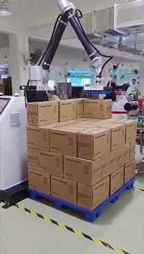 Robot Palletizer, Carton Palletizing Machine