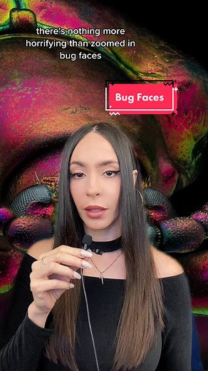 Exploring Microscopic Bugs: Bug Faces Revealed