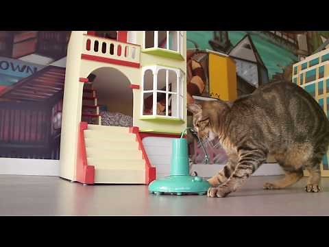 SmartyKat® Loco Motion™ electronic cat toy