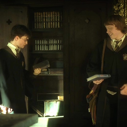 Ron Weasley and Harry Potter: The Chaotic Duo Explained