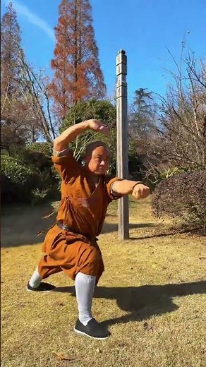 This is the true power of the Tongbei Quan with every punch and kick demonstrating genuine
