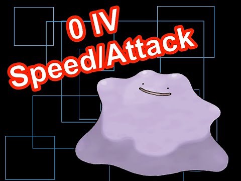 0 IV Ditto Scarlet/Violet -- Super Detailed Guide For 0 Attack and Speed IV