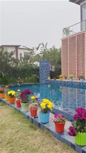 A Heartfelt Thank You | Gratitude for Those Who Always Support #shorts #thankyou #gratitude #support