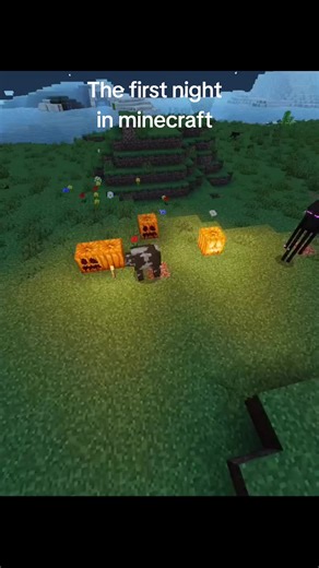 Surviving Your First Night in Minecraft: Tips and Tricks