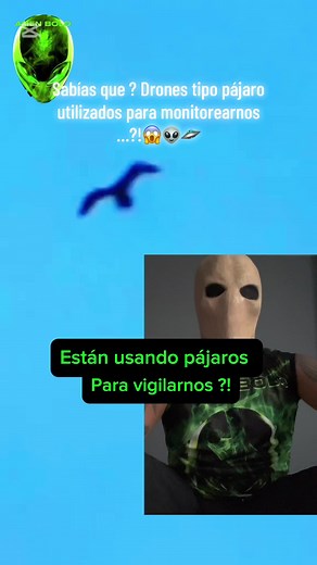 Están utilizando pájaros para monitorearnos…??? NEW JERCEY 🇺🇸 #ufo #uap #ufosighting #alien #drone #scary #creepy #alienbolo #fyp #mystery
