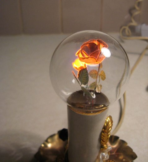 The Timeless Beauty of Vintage Aerolux Light Bulbs Containing Floral Filaments