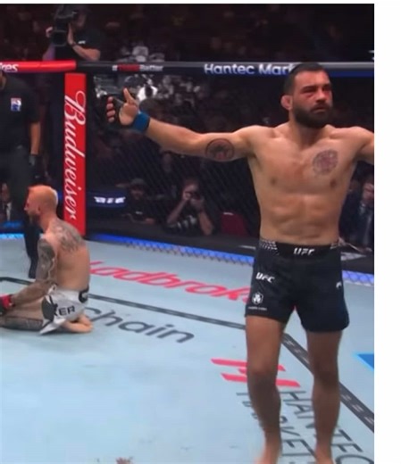Benois Saint Denis 🇫🇷TKO Hoocker 🇦🇺 #benoitsaintdenis#mma #ufc #ufc_mma_sport ##brutal