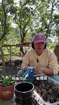 艾草分株教學｜農場種植日誌 #友善耕作 #台中農場 #台中 #工作日誌